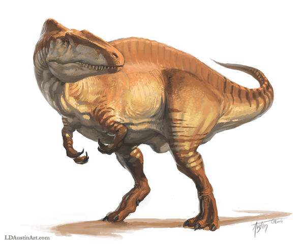 File:Acrocanthosaurus skin.jpg