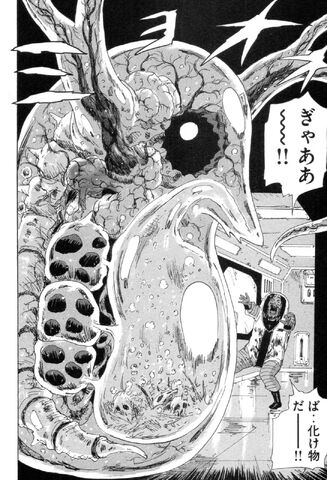 File:Chimera.jpg