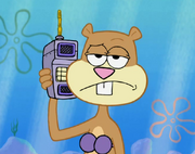 Sandy22
