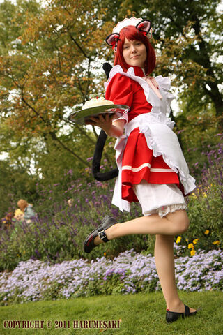 File:Schneerose.jpg