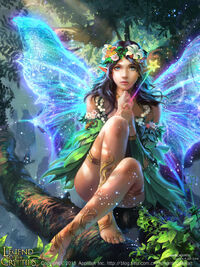 Fairy