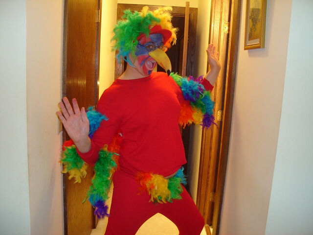 File:Parrot Costume (1).jpg