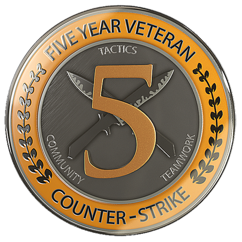 Файл:5yearvetcoin.png
