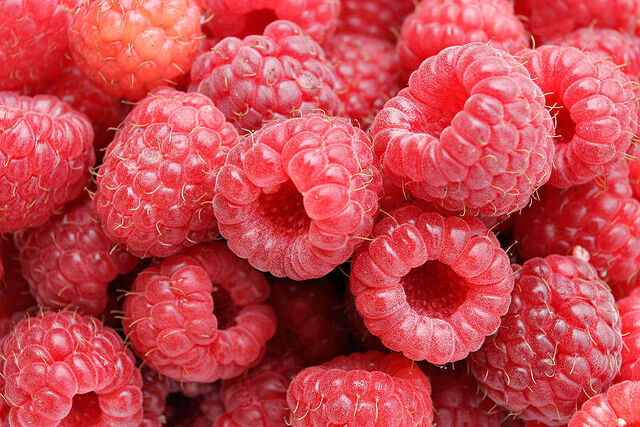 File:RaspberriesWikiPedia05.jpg