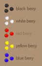 Berries-0