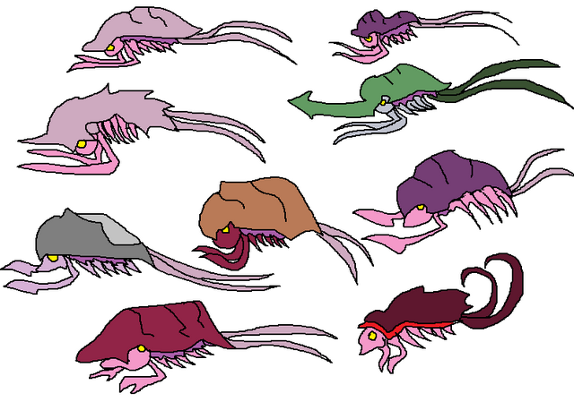 File:Kullspecies.png
