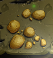 CraftTheWorld Sulfur.png
