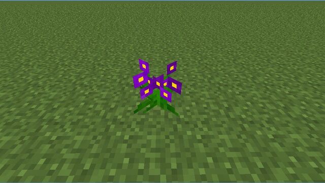 Plik:Violet.jpg