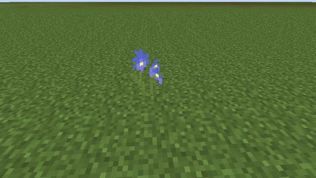 Plik:Blue Iris.jpg