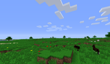 Meadow.png
