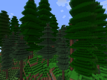 Redwood Lush.png