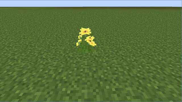 Plik:Yellow Gerbera.jpg