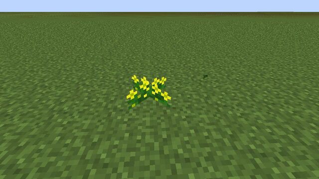 Plik:Marsh Marigold.jpg