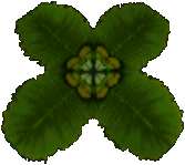 Crash Bandicoot Sinking Lily Pad