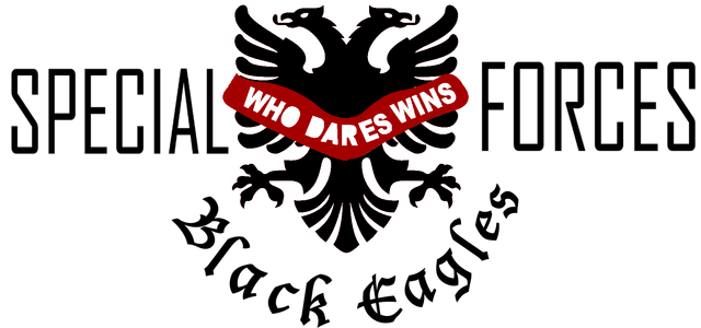 File:Black Eagles Albanian Eagle.png