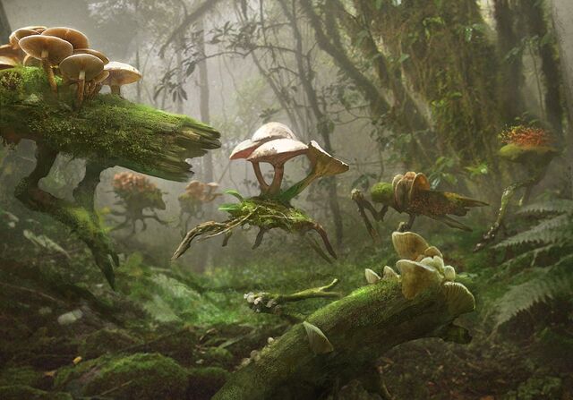 File:Hunterlings.jpg