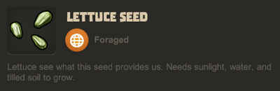 Lettuce seed