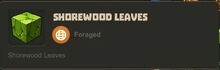 Creativerse Leaves Shorewood01