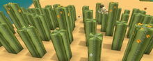 Creativerse cactus garden224