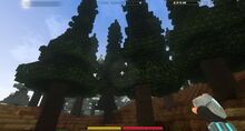 Creativerse Taiga and turnip3838