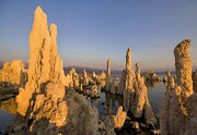 Monolake