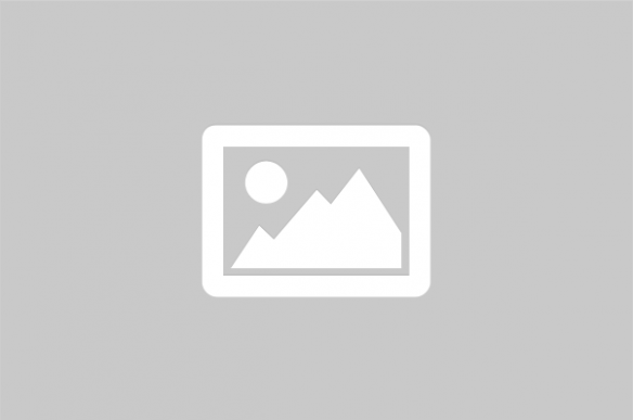 File:UWN flag.png