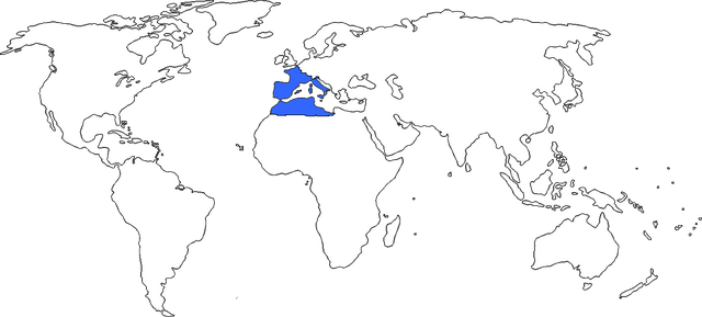 File:Latinus.png