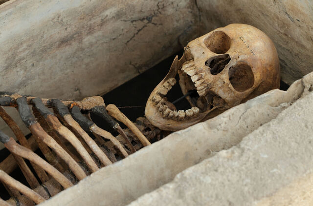 File:Arbury-skeleton.jpg