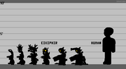 Eikiphir Lineup