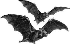 File:BAT.jpg