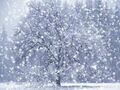 Thumbnail for version as of 09:00, January 22, 2012
