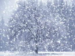 File:Snow Hate.jpg