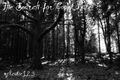 Thumbnail for version as of 12:13, June 29, 2011