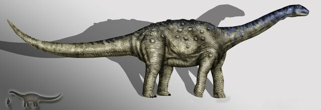 File:Aeolosaurus copia.jpg