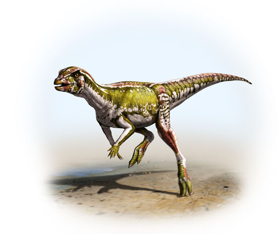 File:Albertadromeus csotonyi cutout c.jpg