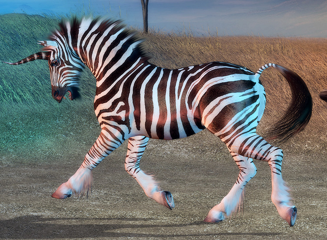 File:Zebracorn.png