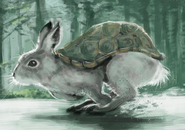 File:RABBIT TURTLE.png