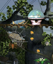 Canopy
