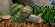Thumbnail for version as of 02:32, February 27, 2005