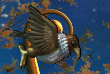 File:C3gosh-hawk ingame.png