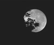 DarkMoon