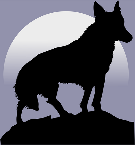 File:Coyote.png