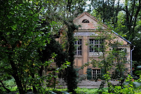 Das-haus-im-wald-c46635b2-61ca-46a8-8a42-4e1e10b0ef4b