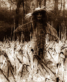 Scarecrow17