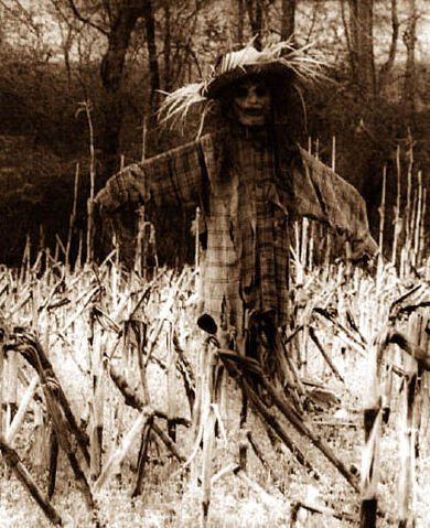 Datei:Scarecrow17.jpg