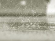 Rain