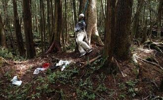 Aokigahara-Haunted-Forest-Japan