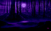 Dark Purple Forest Lila