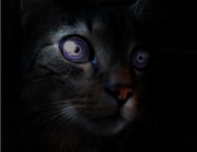 HAPPY1.png