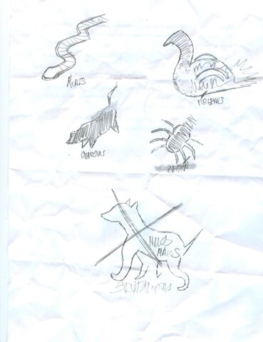 File:Aminals.jpg